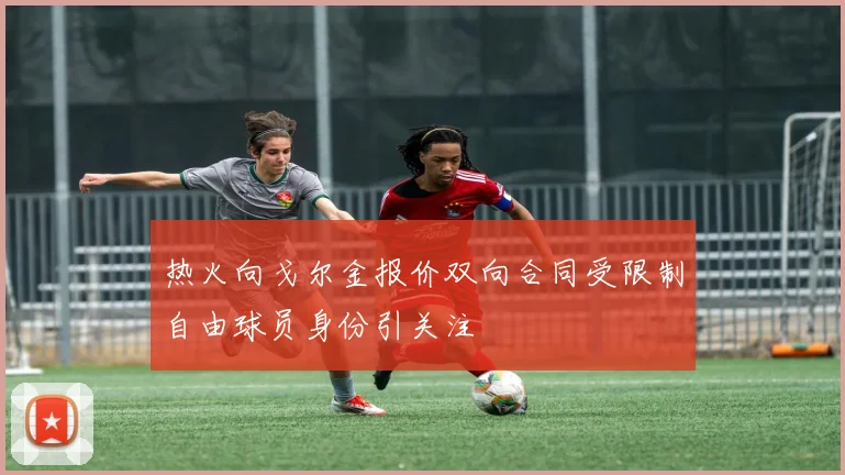 热火向戈尔金报价双向合同受限制自由球员身份引关注